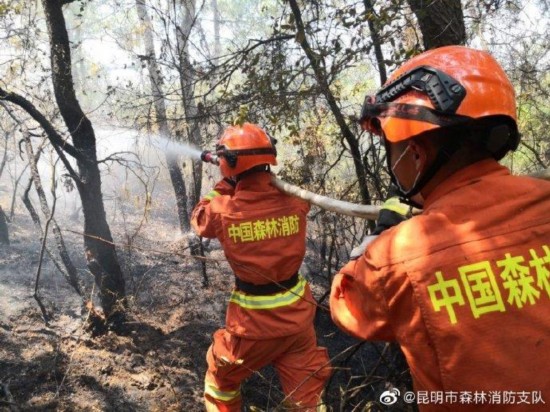 图片来源：云南省昆明市森林消防支队官方微博