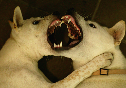 ▲图片来自视觉中国