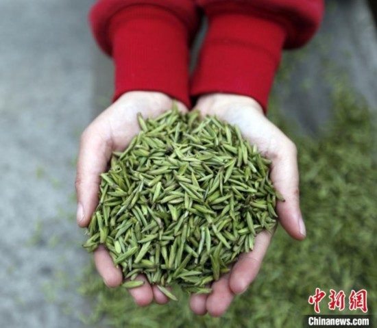 全国人大代表“梁掌柜”：大山主播传授“带货之道”