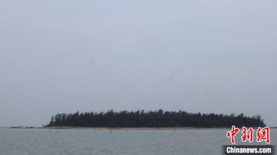 湛江现代海洋产业快速发展加快实现湛江蓝色崛起