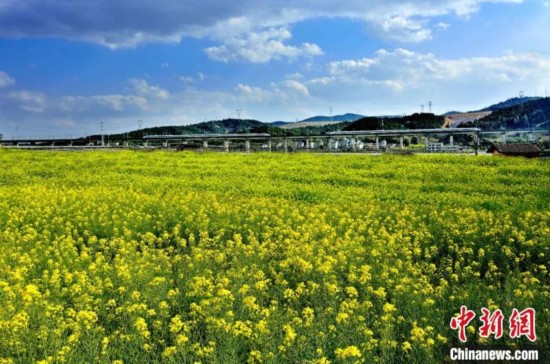 云南高铁累计运送旅客1.6亿人次助推旅游经济提质升级