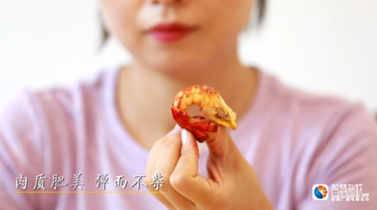 小龙虾■建湖小龙虾：生态养殖助力乡村绿色发展