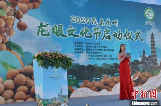 广东高州市龙眼文化节启动母树鲜果拍得68万元