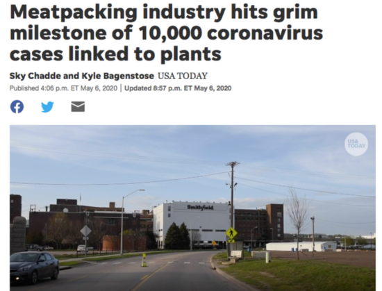 今年5月，与美国肉类加工厂相关的新冠病例就已过万 今日美国网站截图