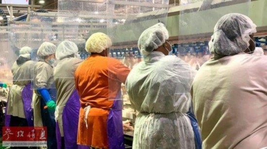泰森食品公司旗下的肉类加工厂如今用透明帘隔开每个工位 图据美联社