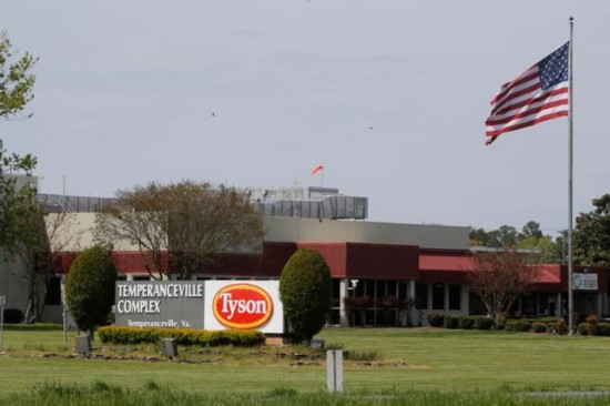 今年5月，美国泰森食品工厂约2000名员工感染新冠病毒。泰森食品公司是全球最大鲜鸡肉、牛肉和猪肉加工商之一 图据新华社