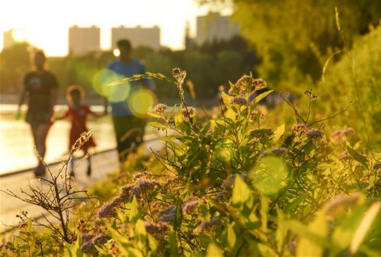 （体育&middot;图片故事）（2）跳绳吧！爸爸