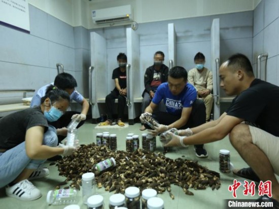 云南德宏破获一起野生菌藏毒案缴毒9.6千克