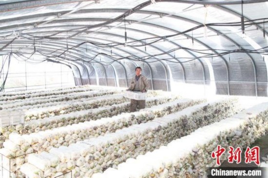 新店镇|一个脱贫县的美丽蝶变：立足生态田园 打造乡村振兴样板