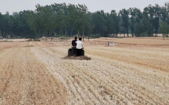 宅基地使用权|提速农村宅基地改革 中央深改组又“安排”上了