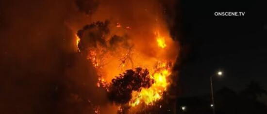 独立日|美国“独立日”多人非法燃放烟花致数百起火灾,一大型公寓楼被烧毁