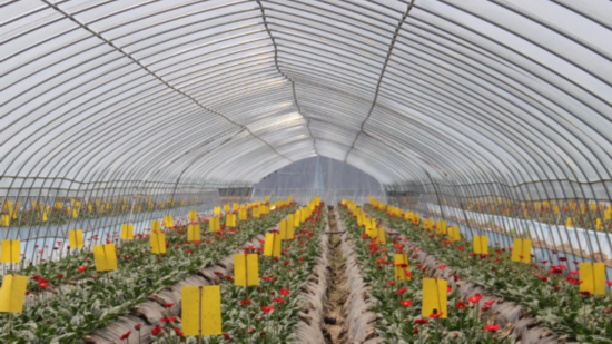 QQ截图20200713083220