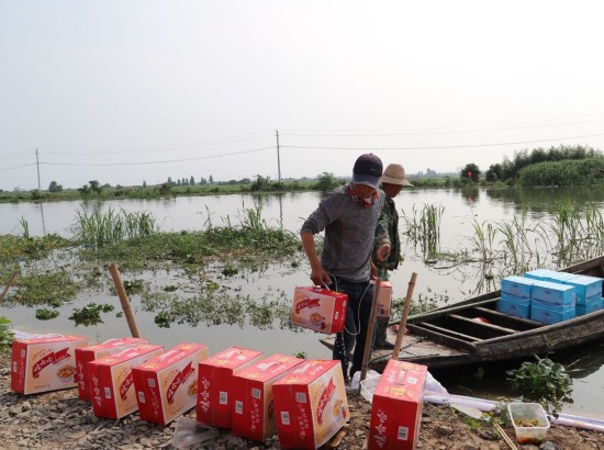 老兵|无名老兵：驾着船儿来拥军