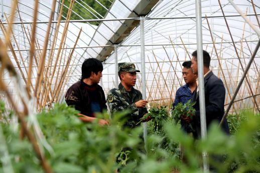 彝乡|彝乡扶贫带头人