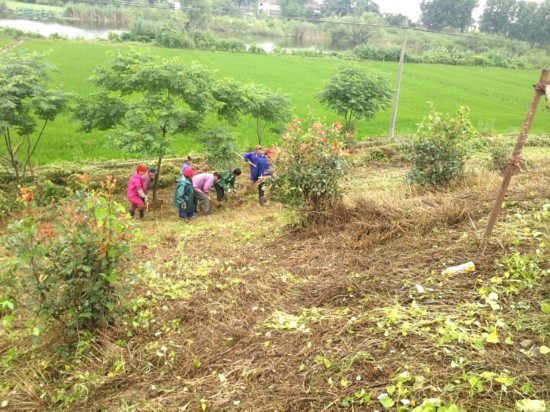 嘶马弯道■迎战！扬州4万多人闻“汛”即动