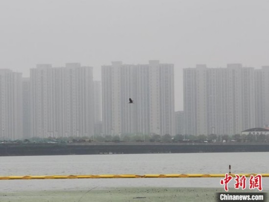 水位上涨|直击洪水红色预警下的江苏太湖：水位逼近堤岸 巡查一刻不停