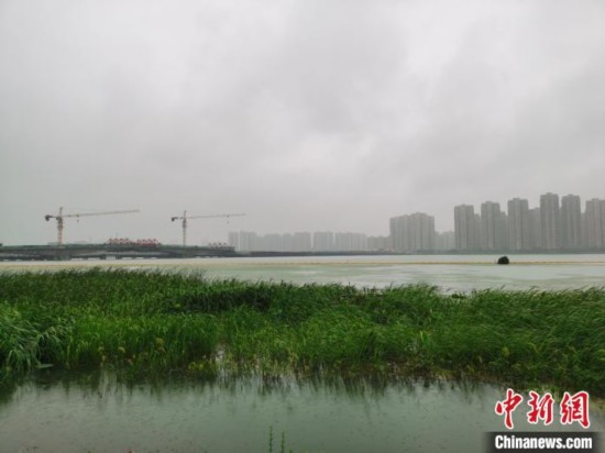 水位上涨|直击洪水红色预警下的江苏太湖：水位逼近堤岸 巡查一刻不停