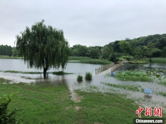 水位上涨|直击洪水红色预警下的江苏太湖：水位逼近堤岸 巡查一刻不停