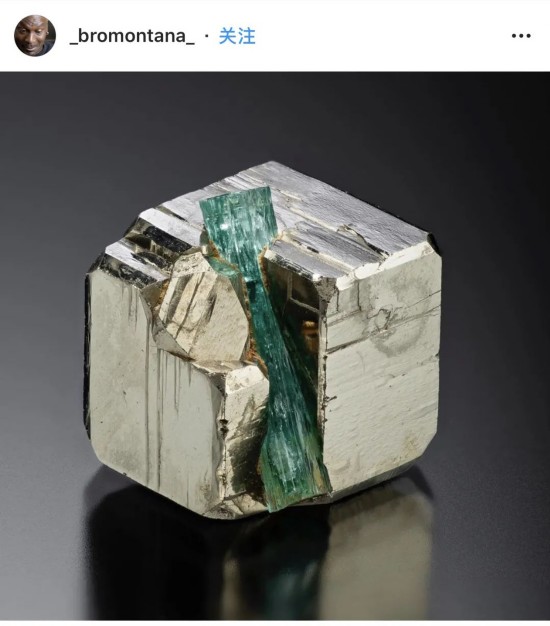 超级英雄|6岁男孩护妹与恶狗搏斗受伤被缝90针,WBC授其“荣誉拳王”称号