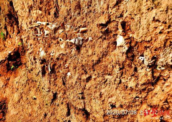 7月8日发现的疑似长平之战尸骨坑 郭庭荣供图