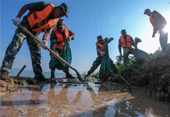 珠湖|退役老兵奋战圩堤一线固堤除险