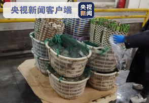 长江口水域|非法捕捞1.6吨长江渔获案告破 十年禁渔期警方持续打击犯罪