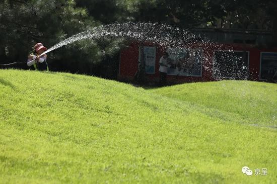 高温|热热热高温暴晒35℃+