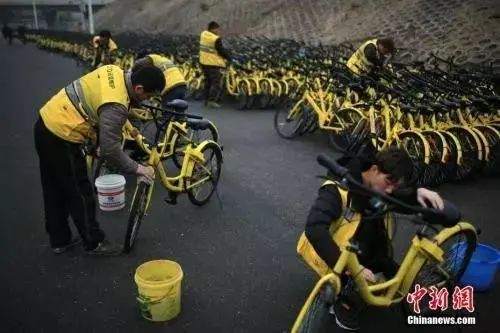 ofo|ofo“人间蒸发”了！你的押金退了吗？