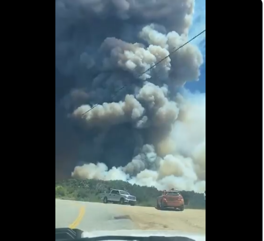 图源|美国加州燃起大火现场浓烟滚滚 7800人紧急撤离