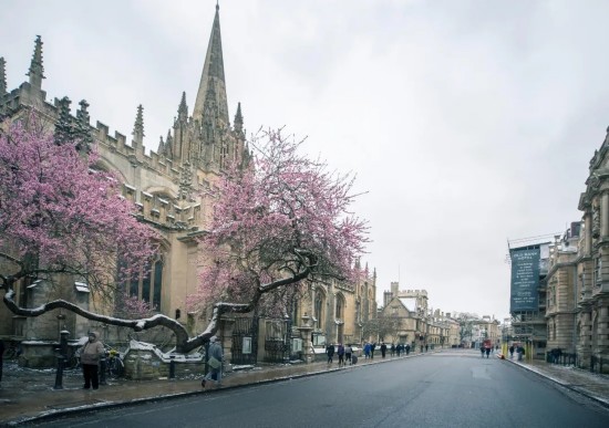 核物理学家|疫情下的英美大学:核物理学家被开 百年高校永久关闭