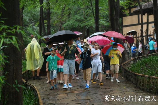 户部巷|湖北A级景区免费开放首日，多个景区预约爆棚