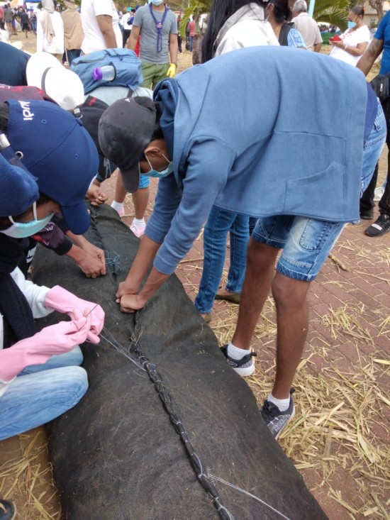 毛里求斯|蓝湾变黑湾 毛里求斯面临该国史上最严重海洋污染危机