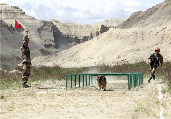 边防团|西藏阿里军分区某边防团开展岗位练兵比武竞赛