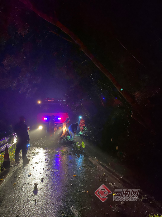 临沧|临沧镇康木场乡发生山体滑坡 2房屋受损5人失联