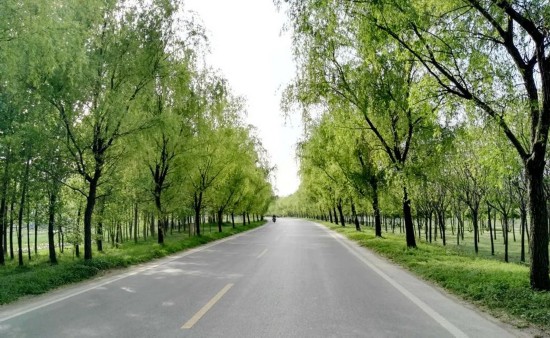 农村公路■江苏铜山：路，路，通！
