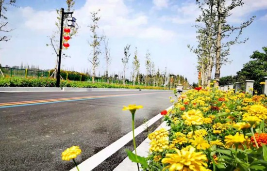 农村公路■江苏铜山：路，路，通！