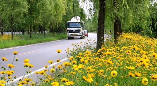 农村公路■江苏铜山：路，路，通！