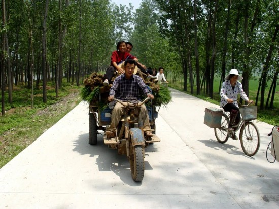 农村公路■江苏铜山：路，路，通！