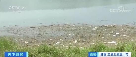 垃圾清理|韩国首都圈最大水源地漂浮万吨垃圾……