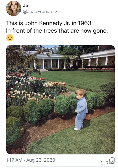 特朗普|最惊艳对比照，特朗普一家这样改造了白宫