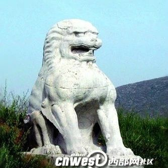 唐建陵|陕西唐建陵二吨重石狮被盗：官方发悬赏通告，最高奖100万