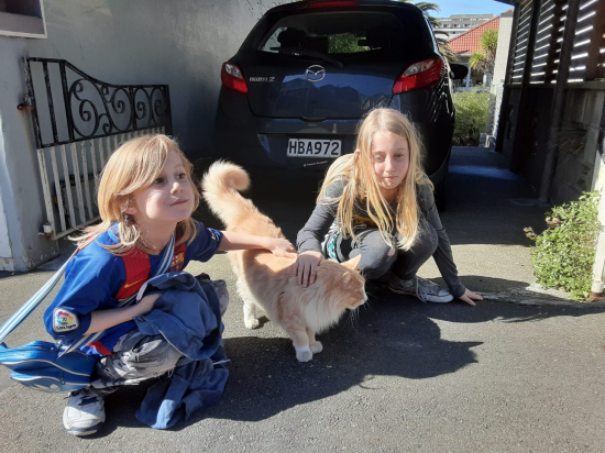 女总理|不可思议!新西兰女总理“最大劲敌”居然是它!