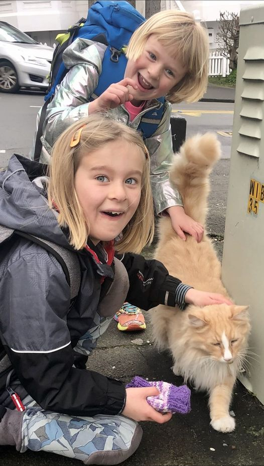 女总理|不可思议!新西兰女总理“最大劲敌”居然是它!