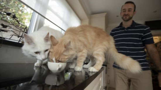 女总理|不可思议!新西兰女总理“最大劲敌”居然是它!