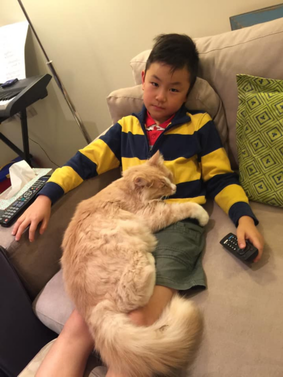 女总理|不可思议!新西兰女总理“最大劲敌”居然是它!