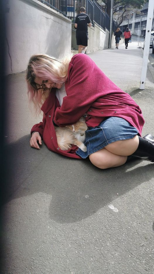 女总理|不可思议!新西兰女总理“最大劲敌”居然是它!