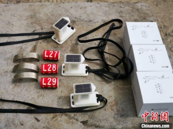 GPS跟踪器 王妮娜 摄