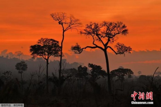 湿地|巴西潘塔纳尔湿地8月记录近6000起火灾 创史上第二高