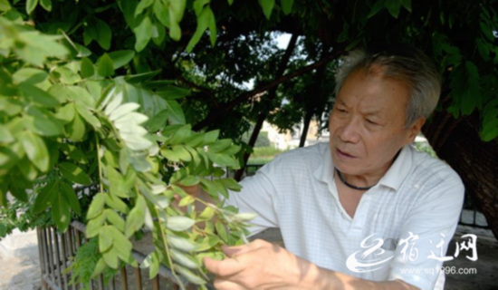 （全媒体）走向我们的小康生活特别报道：_(991391)-20200902084440