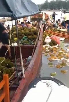  漂浮在海面上的榴莲遭到市民哄抢。 图片来源：自广西疾控公众号
